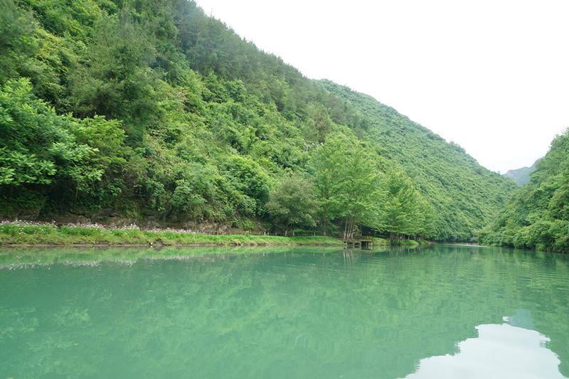 西鄉(xiāng)易尚國(guó)際夏日?qǐng)F(tuán)建歡樂(lè)行.jpg