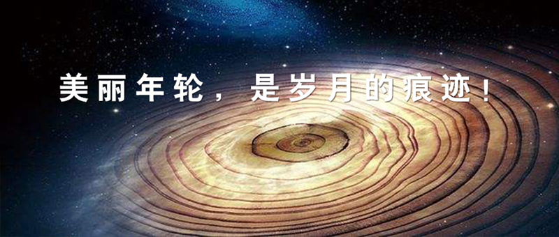 標(biāo)桿實錄 西鄉(xiāng)易尚國際 成長記之公司歷程 .jpg