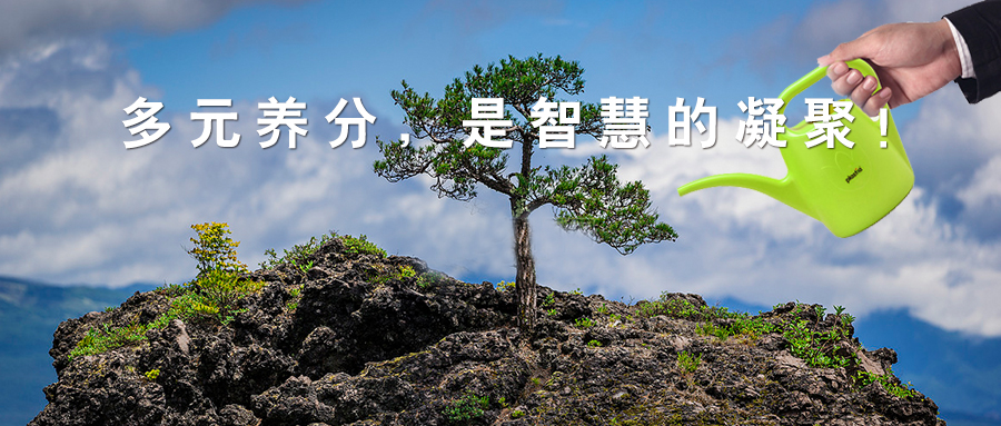 標(biāo)桿實錄 西鄉(xiāng)易尚國際成長記之團隊打造.jpg