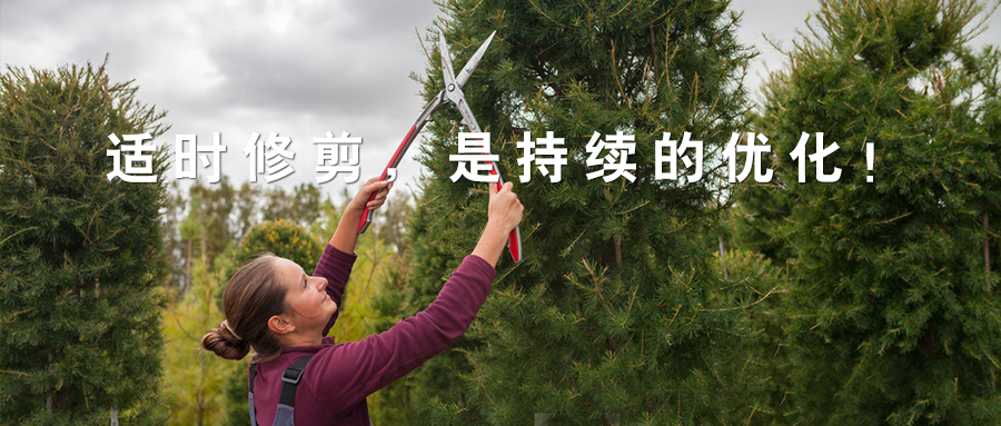 易尚國際 標桿實錄 西鄉(xiāng)易尚國際 成長記之培訓(xùn)體系.jpg