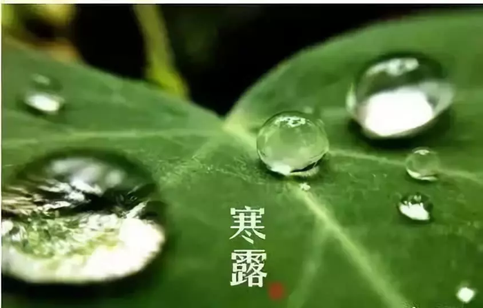 易尚國(guó)際 | 近期新開(kāi)工工地匯總（七十六）   .bmp